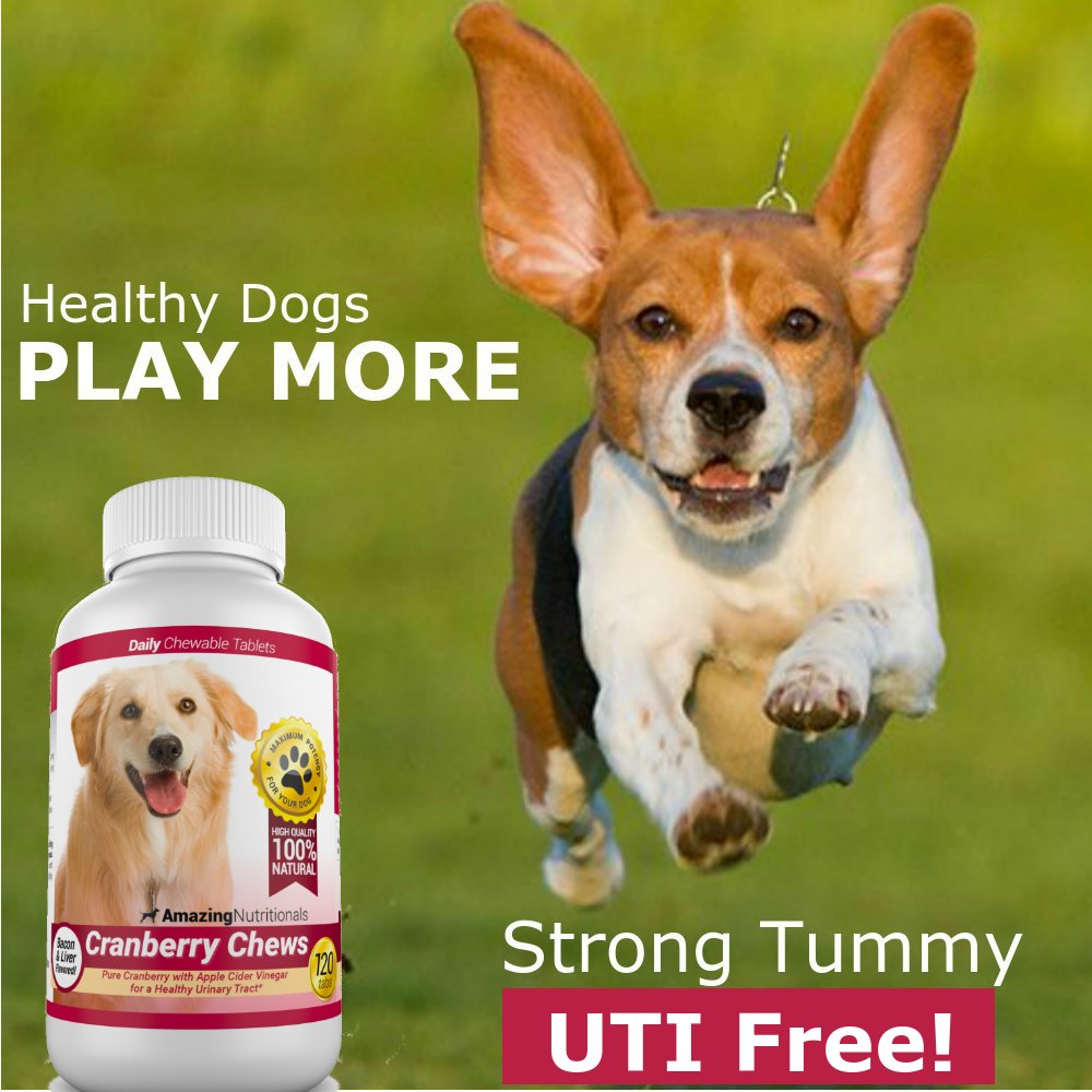120 Cranberry Chews with Apple Cider Vinegar Bacon Flavor Dog Supplement N82953