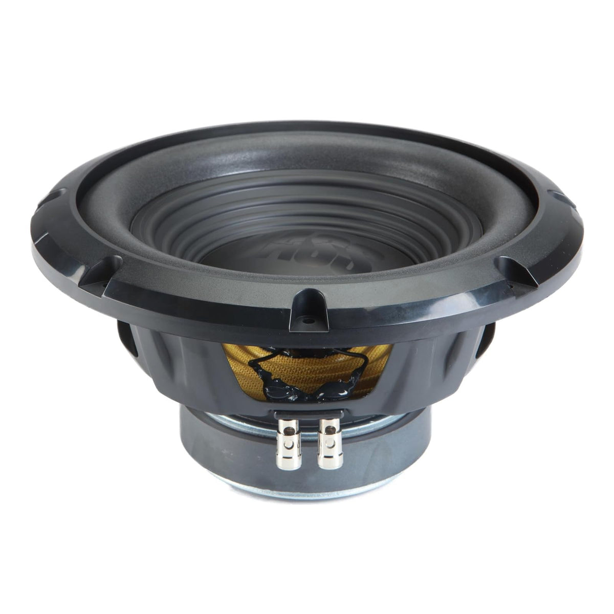 Dual 10 Loaded Sub Box with Amp P666329
