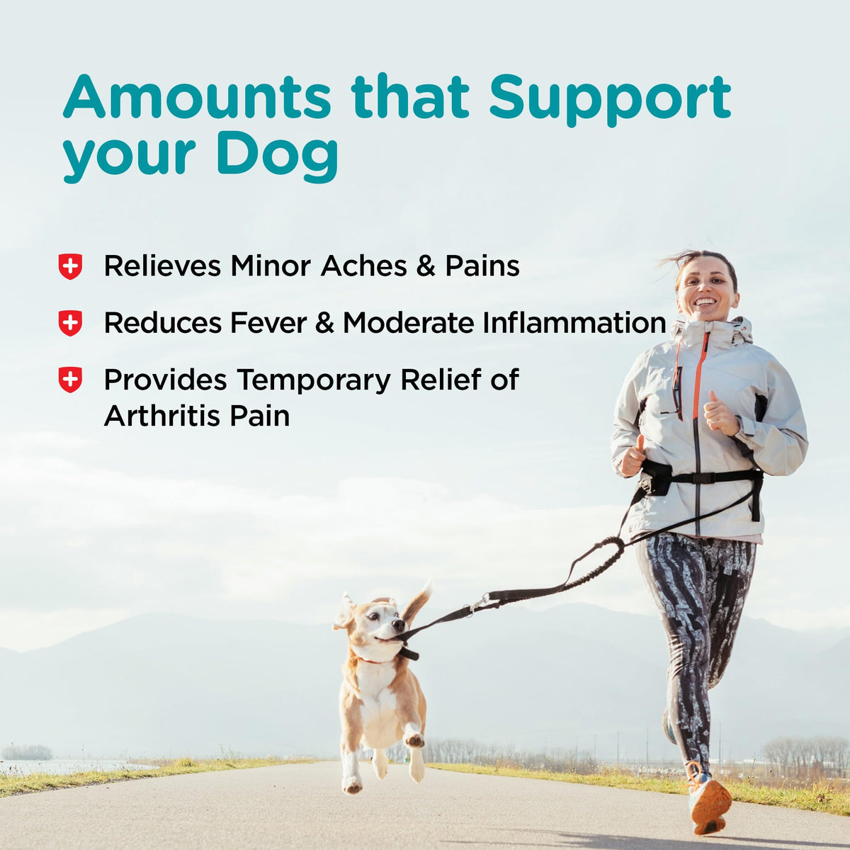 Dog Aspirin 120mg 100 Count Q4535