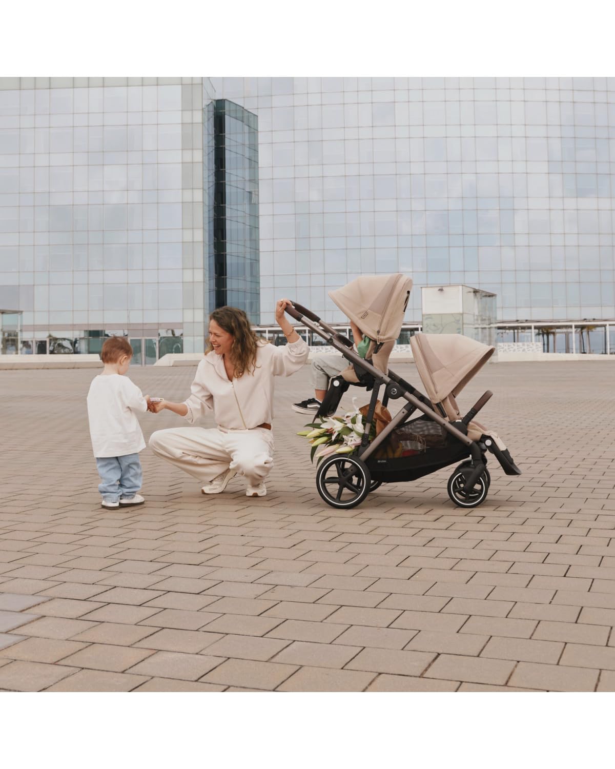 Chocolate Brown Stroller Seat C8116