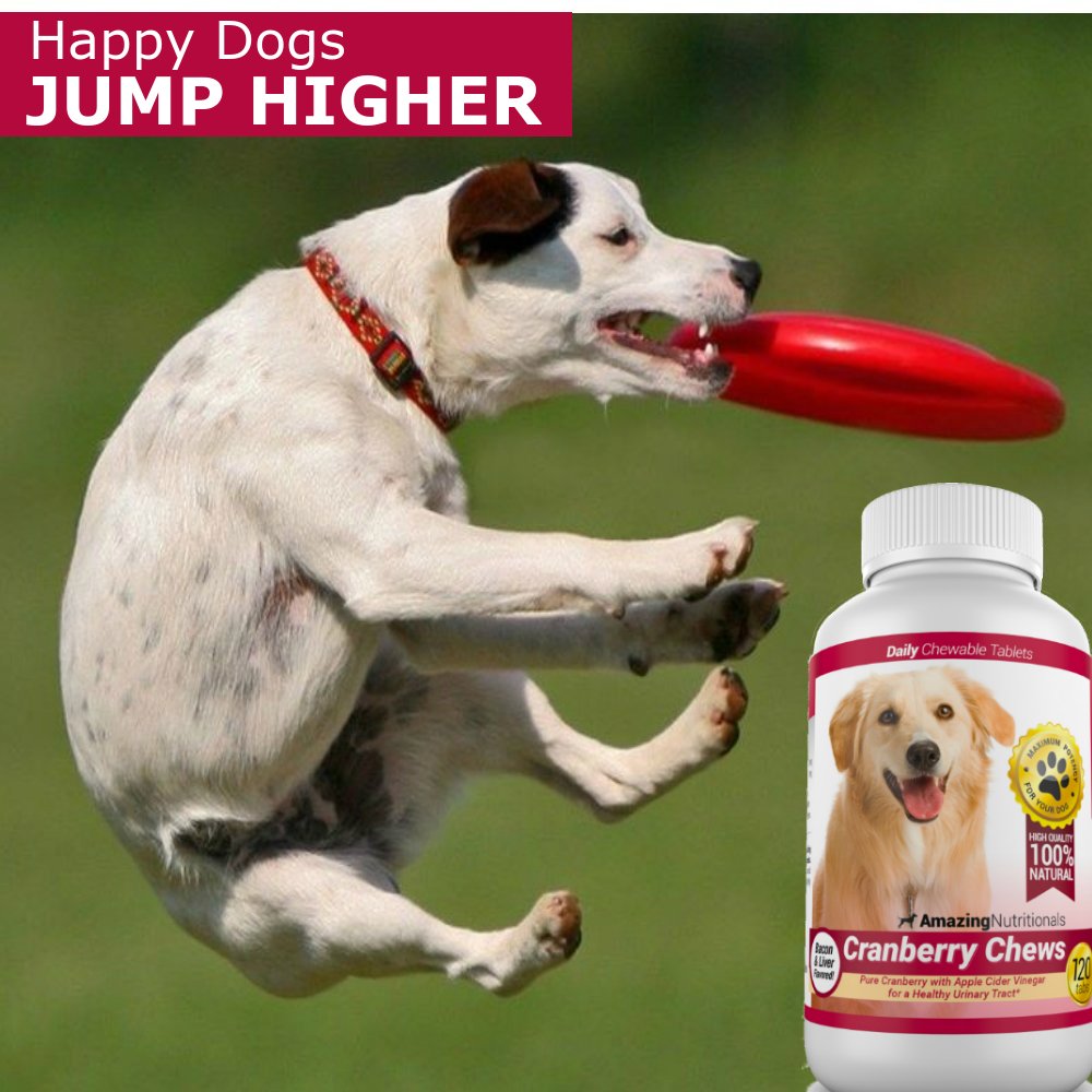 120 Cranberry Chews with Apple Cider Vinegar Bacon Flavor Dog Supplement N82953