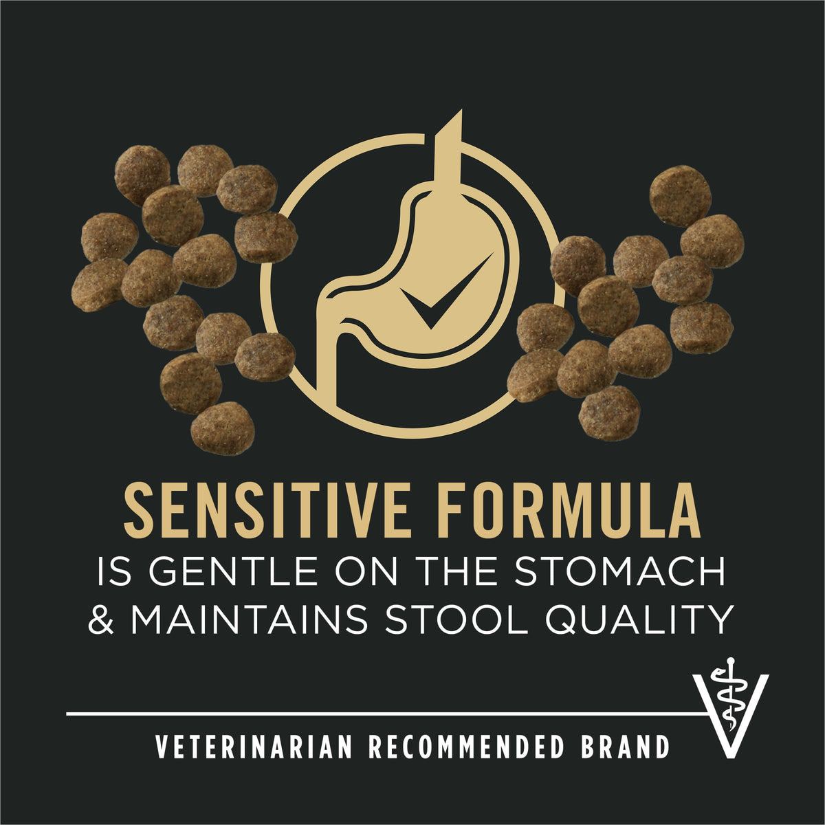 Sensitive Skin & Stomach Puppy Dog Food 24 lb Bag L1110