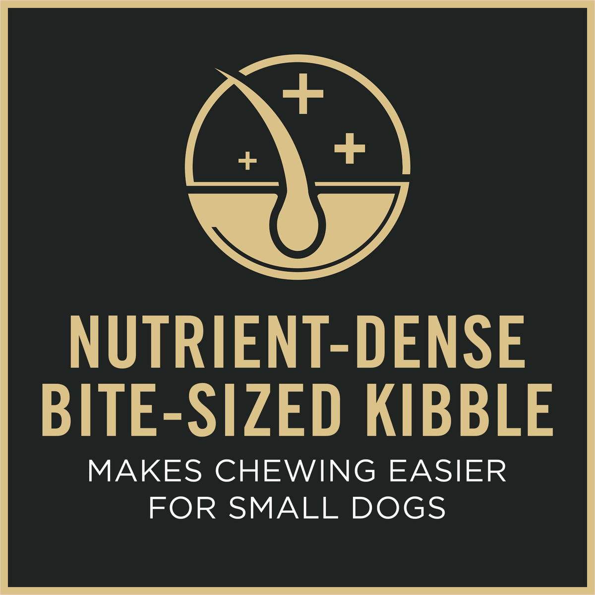 Senior Small Breed Dog Food 6 lb Bag Y811
