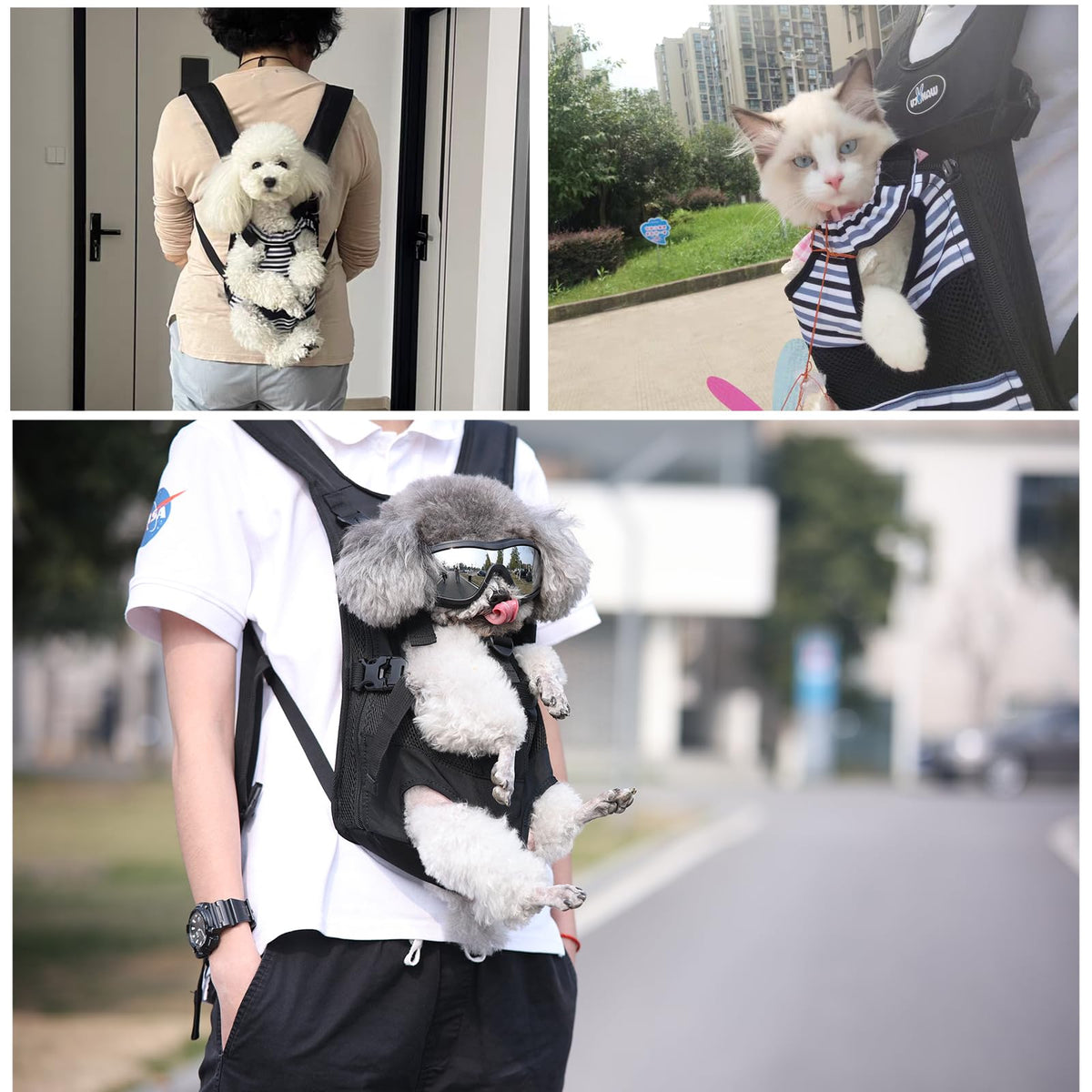Adjustable Pet Carrier Backpack C34025