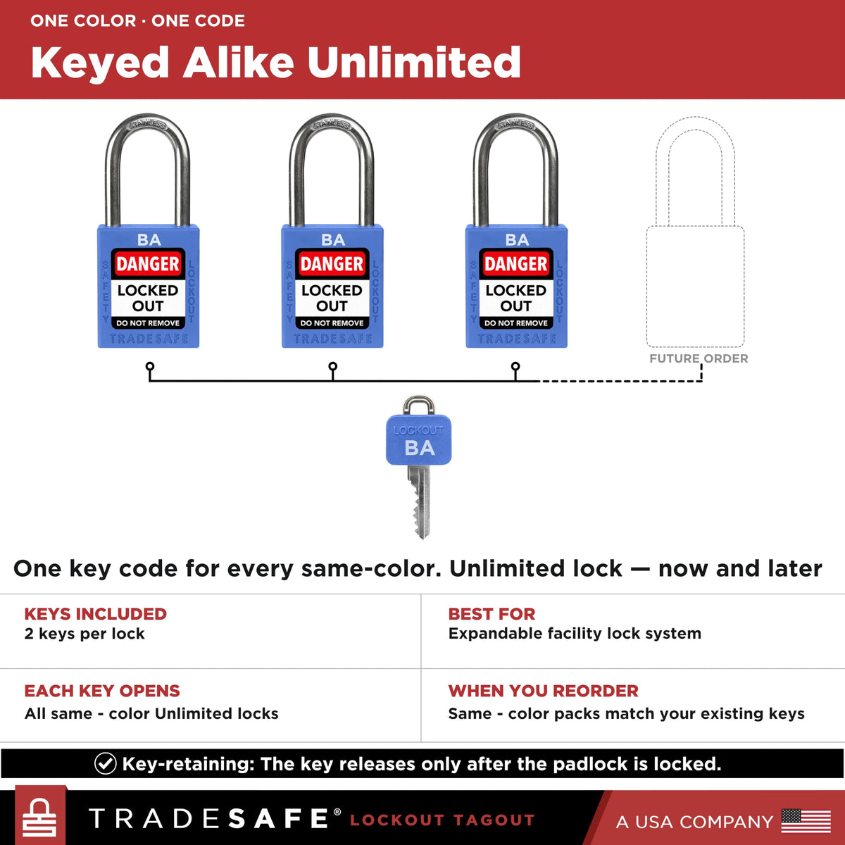 10 Blue Keyed Alike Locks D25734