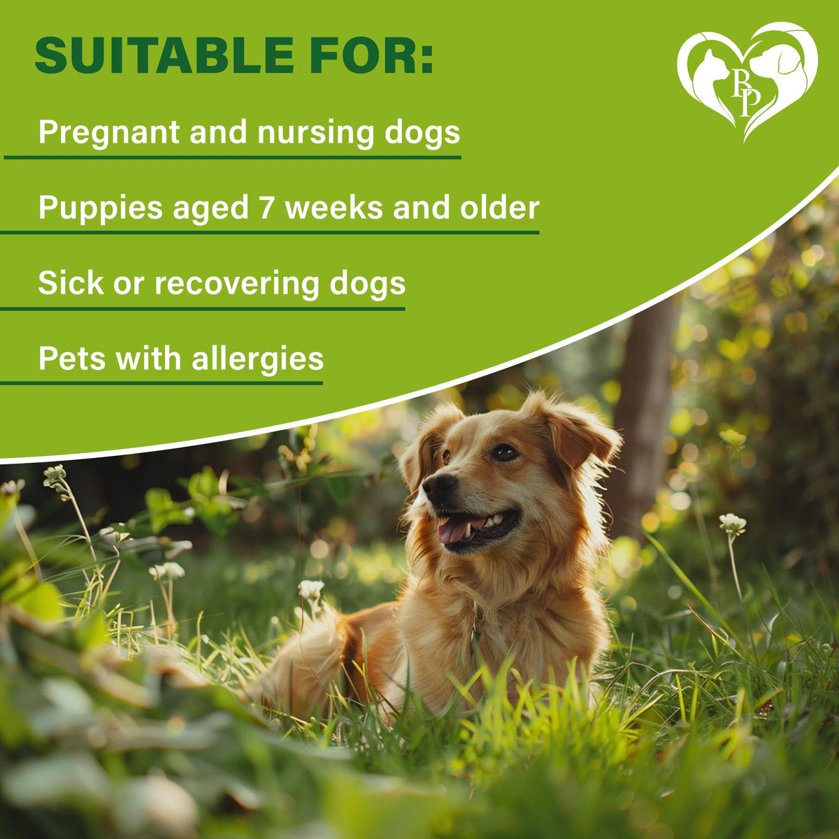 Natural Flea & Tick Collar for Dogs A612