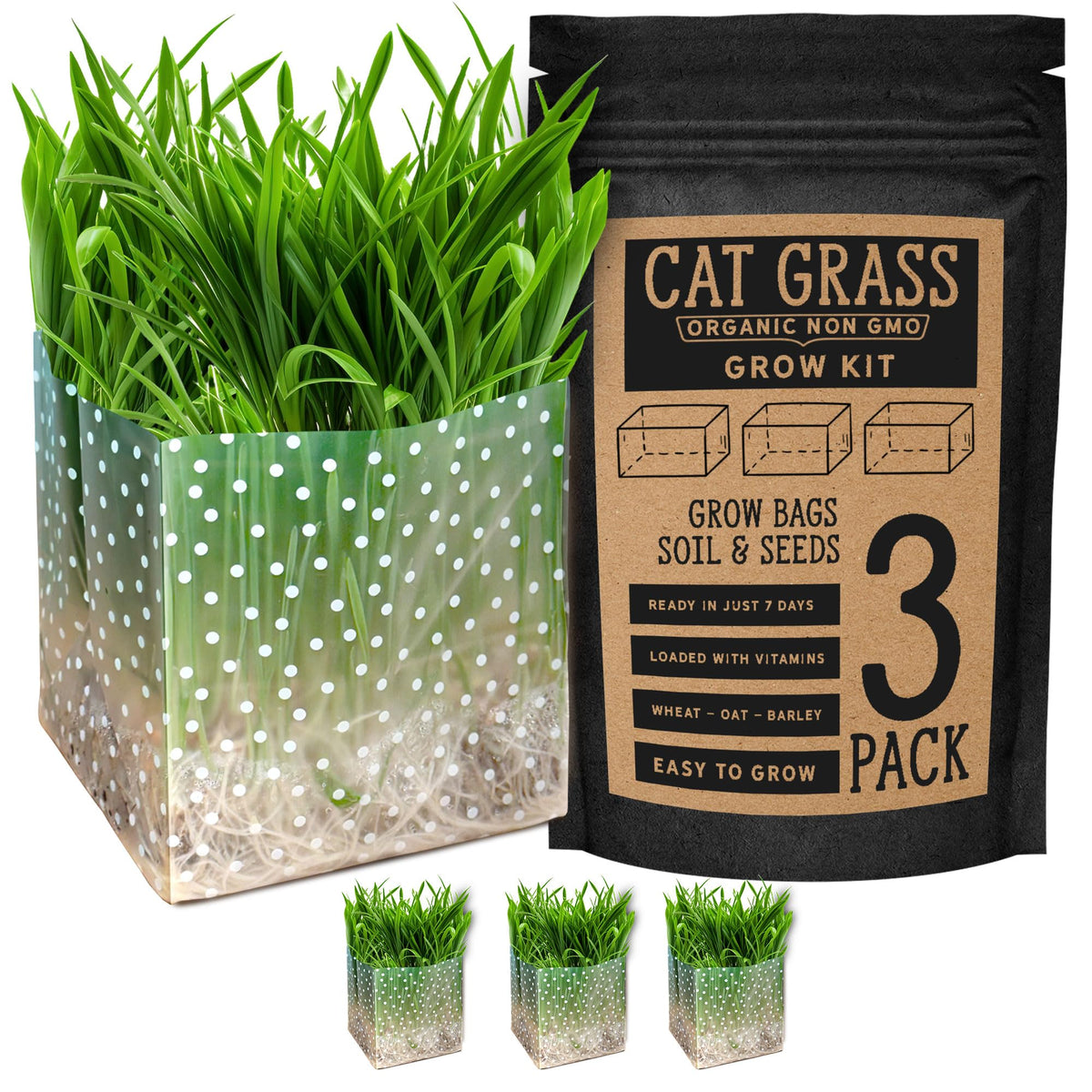 Organic Cat Grass Kit 3 Pack Non GMO Heirloom Seeds G8763