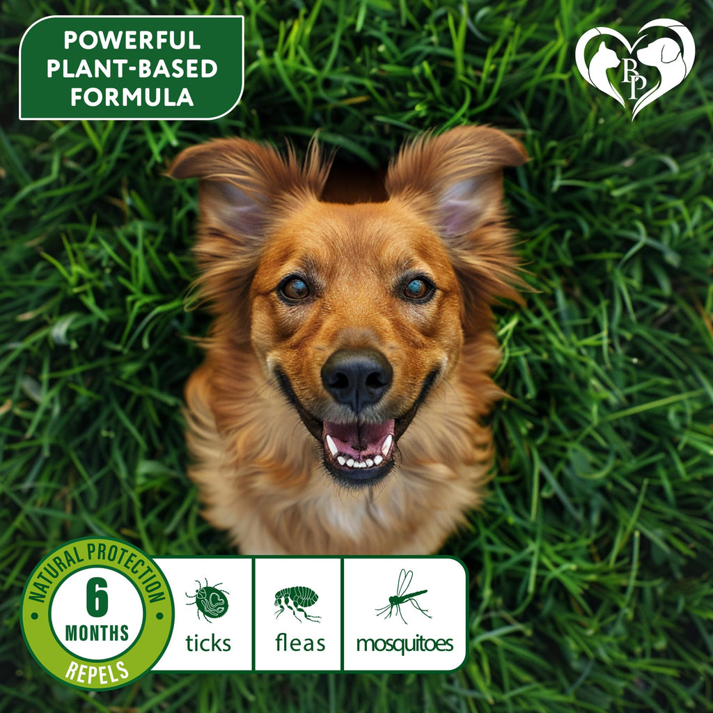Natural Flea & Tick Collar for Dogs A612