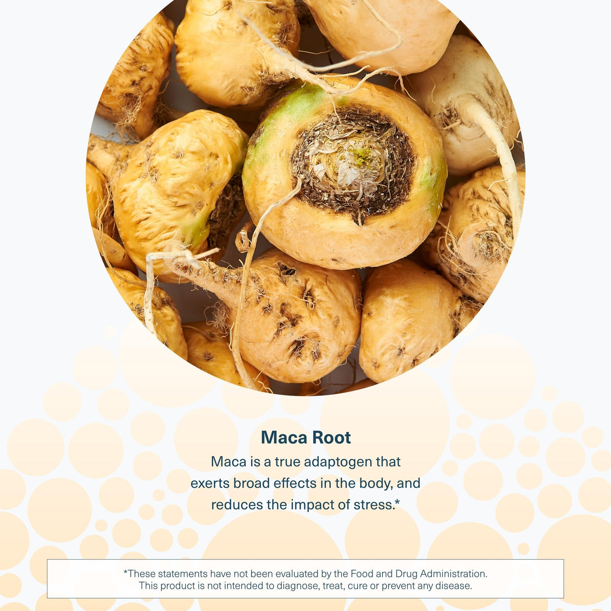 Maca Root 120 Vegetarian Capsules Y97174