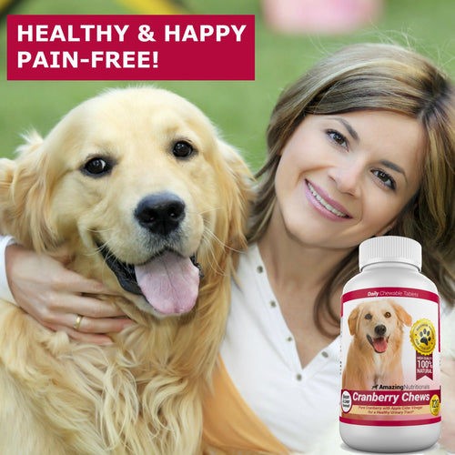 120 Cranberry Chews with Apple Cider Vinegar Bacon Flavor Dog Supplement N82953