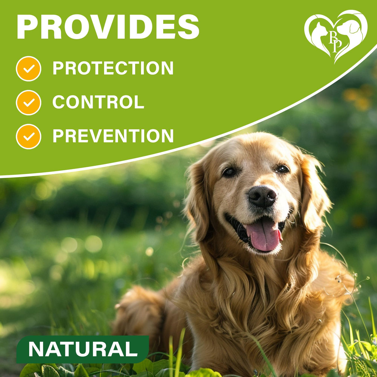 Natural Flea & Tick Collar for Dogs A612