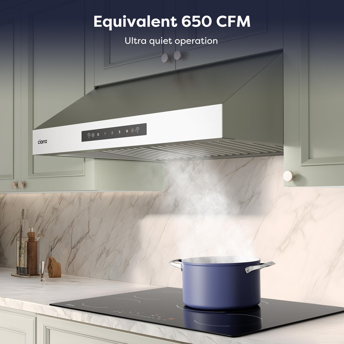 30 Inch Stainless Steel Under Cabinet Range Hood P605