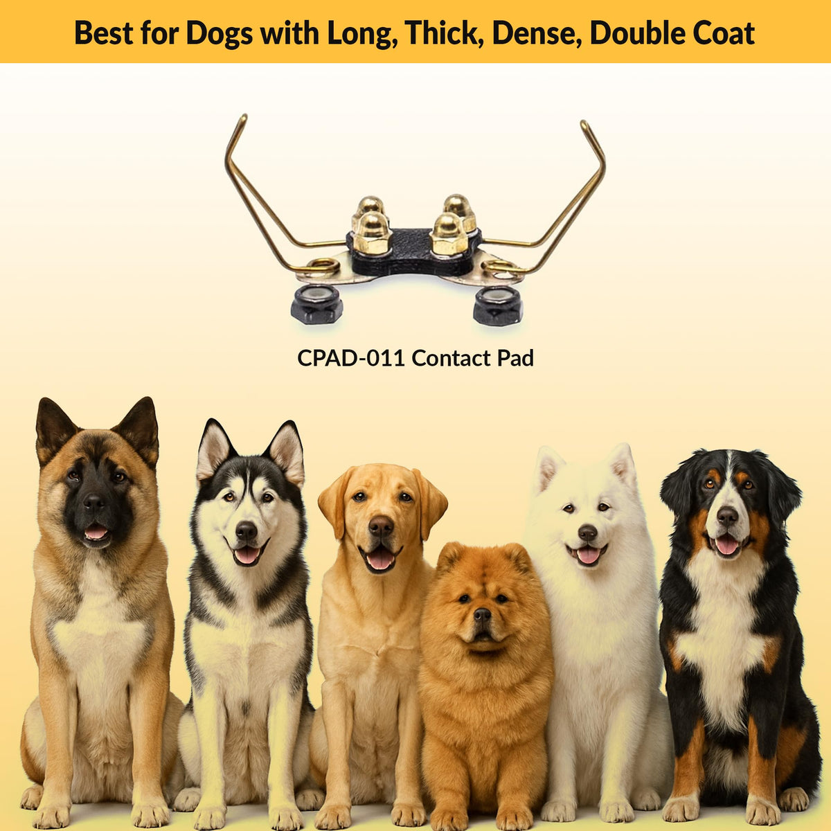 Brass Contact Pads for Training Collars P393