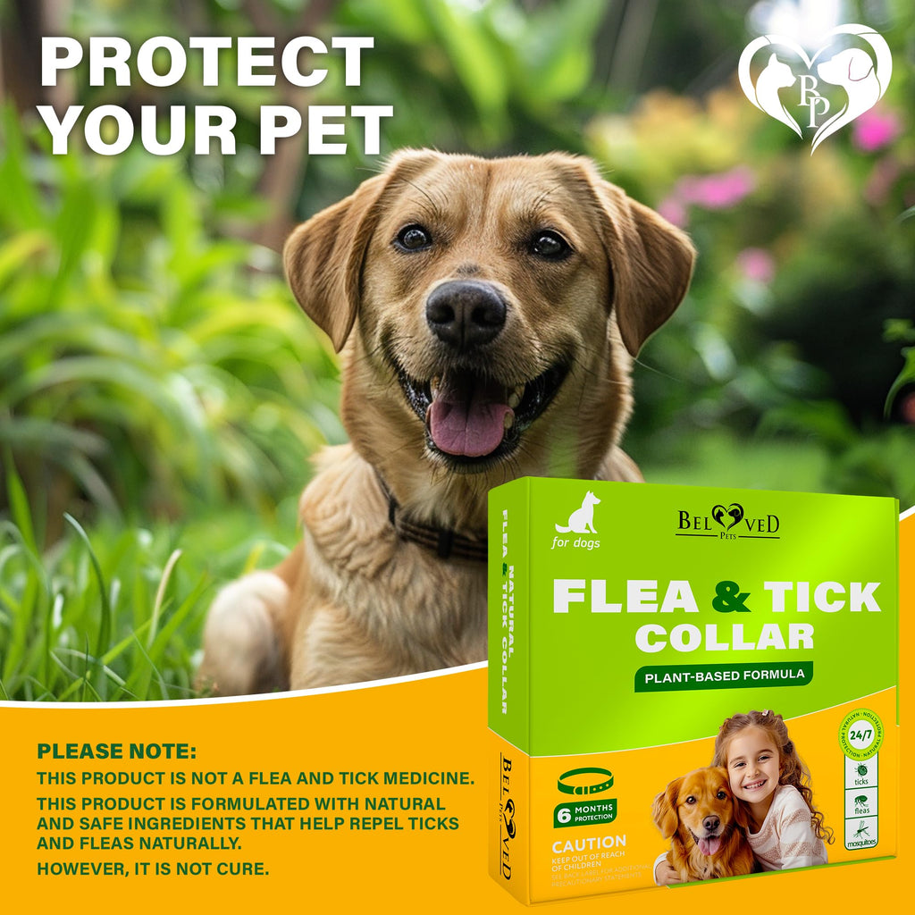 Natural Flea & Tick Collar for Dogs A612