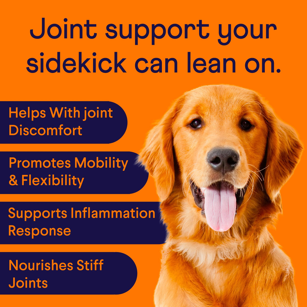 Hip & Joint Chews for Dogs, 90 Ct H16831