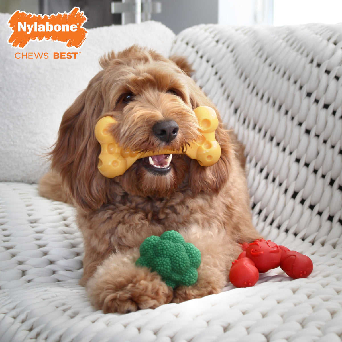 3 Pack Dog Chew Toys F442