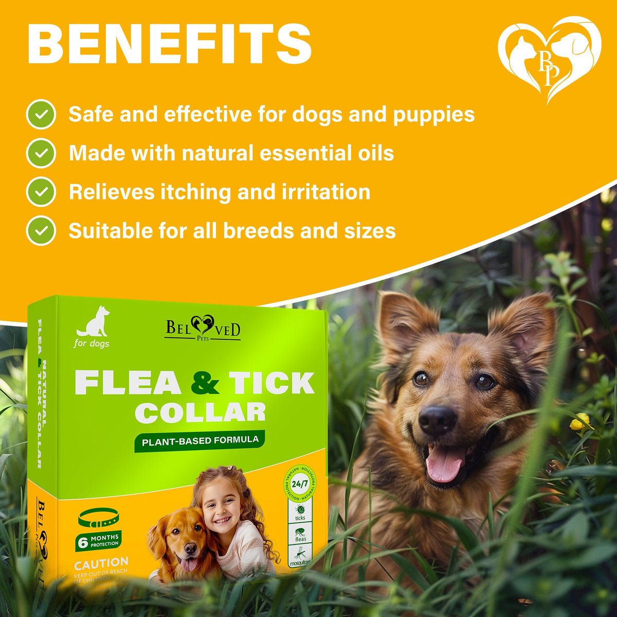 Natural Flea & Tick Collar for Dogs A612