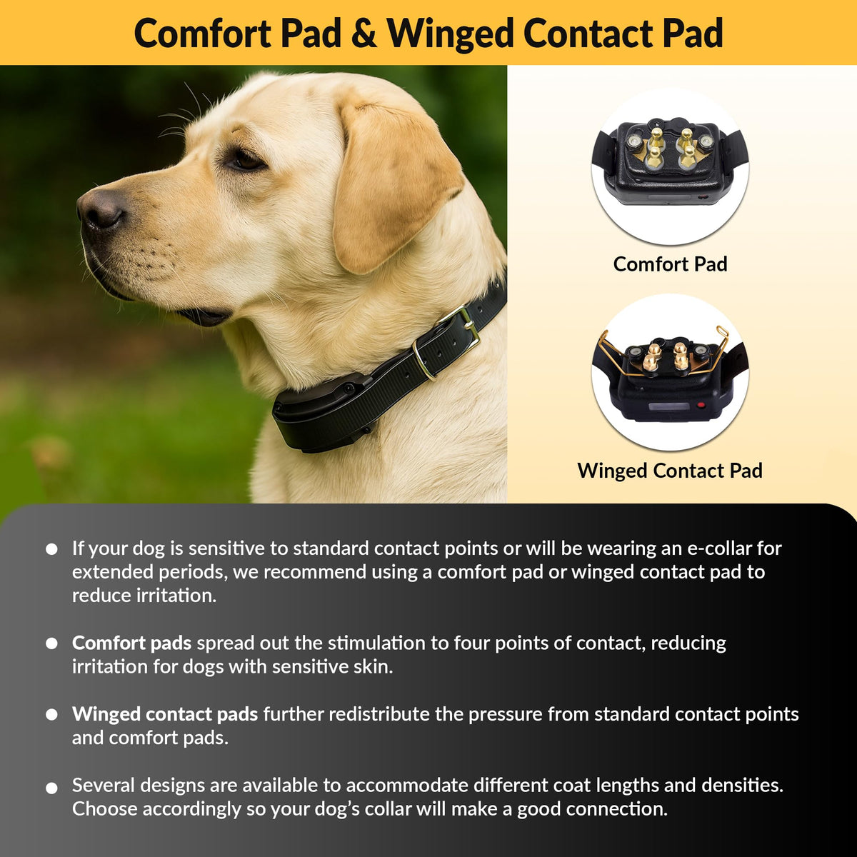 Brass Contact Pads for Training Collars P393